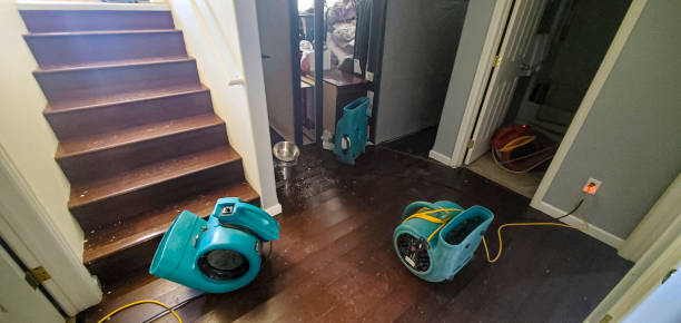 Best Local water damage restoration  in Kechi, KS
