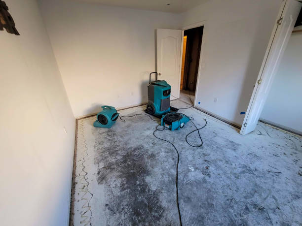 Best 24/7 water damage repair  in Kechi, KS