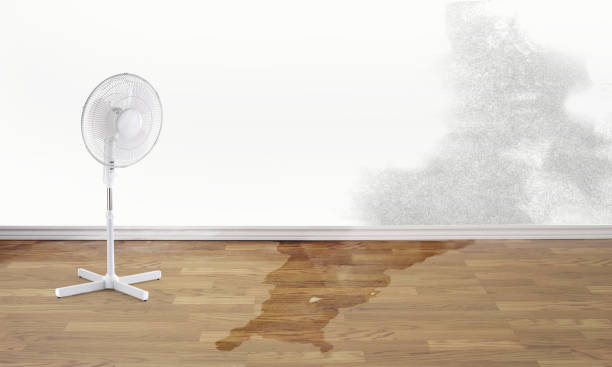 Water damage restoration experts in Kechi, KS