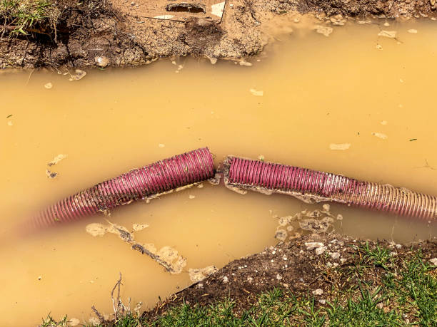 Best Local water damage restoration  in Kechi, KS