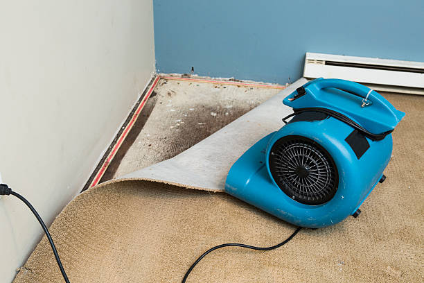 Kechi, KS Water damage restoration Company